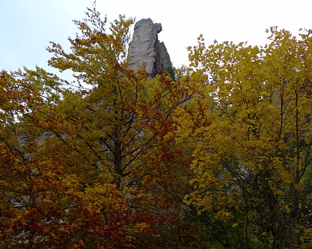 36 Un brasier sous les sucettes.