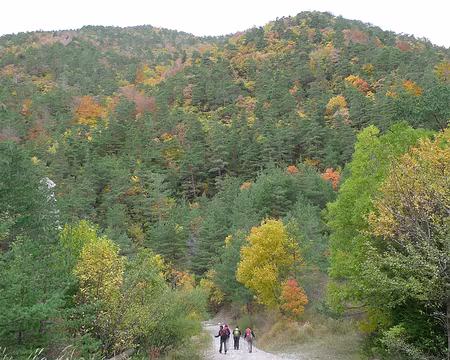 38 Couleurs automnales.