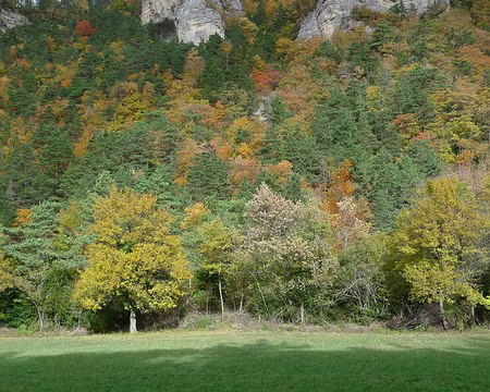 39 Couleurs automnales.