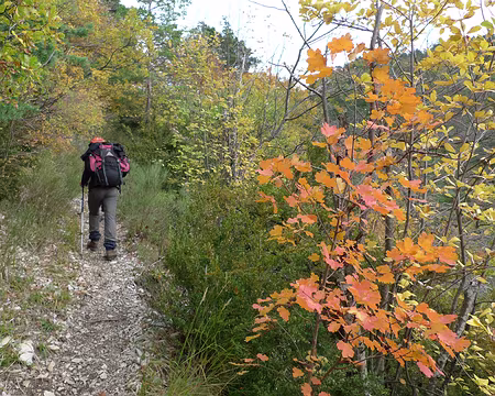 42 Incandescences, dans la montée au col de Plainie.