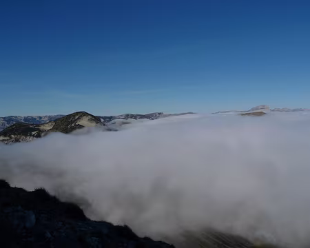 50 Oui ! Au loin, au nord-ouest, les sommets du Vercors (Grand Veymont et Mont Aiguille).