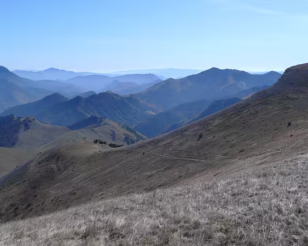 62 Descente dans un relief gazonné jaune-gris.