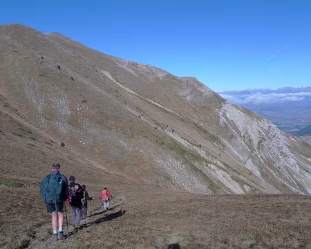 64 Descente dans un relief gazonné jaune-gris.