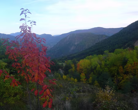 PXL013 Le soir vers St Léger