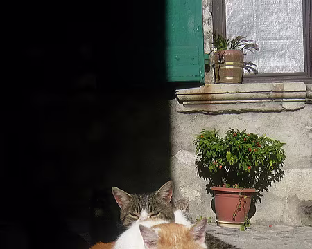 PXL048 Tu veux ma photo ?