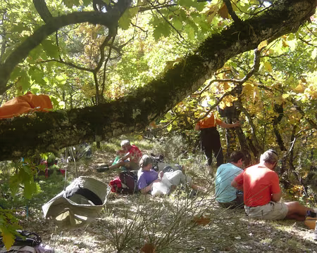 PXL052 Le pique-nique dans les chênes