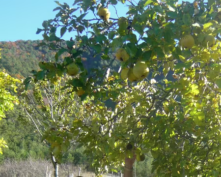 PXL061 Merci monsieur...