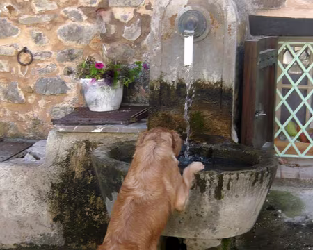 PXL076 La soif au Prignolet