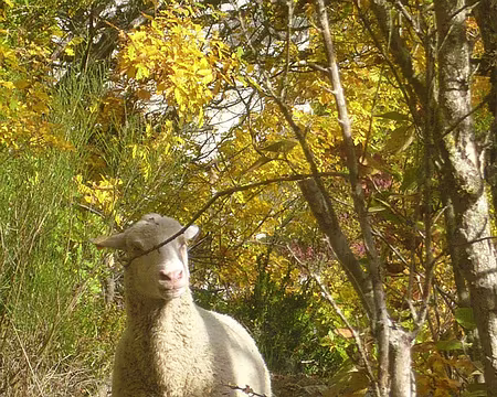 PXL080 29 10 09 Rencontre fortuite