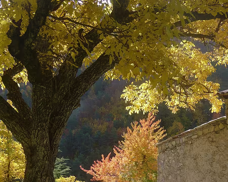 PXL085 St Jean du Désert