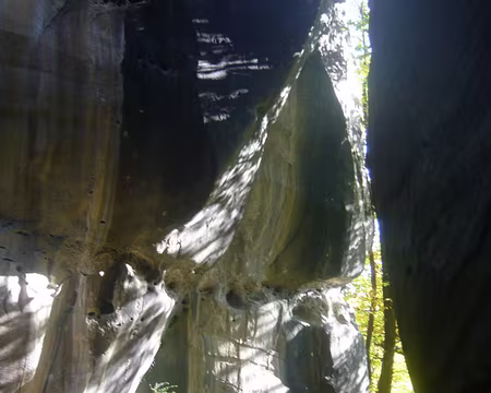 PXL104 Sortie du jardin du roi