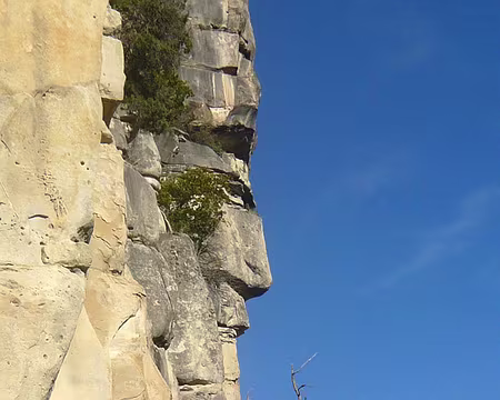 PXL109 Le nez de Mitterand