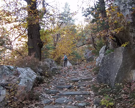 102 J6 - D'Annot à la Colle Saint-Michel