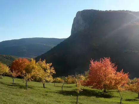 2009-10 Haute Provence