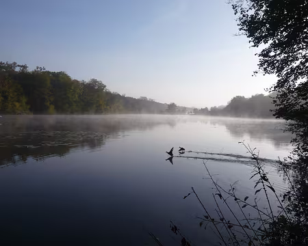 PXL005 Brume et canards se lèvent ...