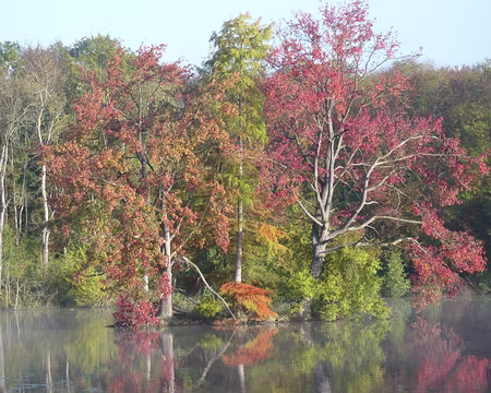 PXL007z768 L'automne commence à flamboyer
