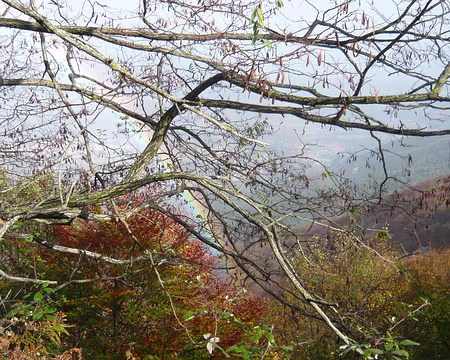 P1000845 les Albères après une pluie de novembre