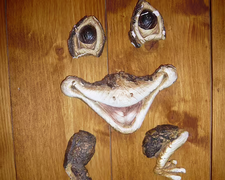 P1000848 décoration dans les toilettes du chalet