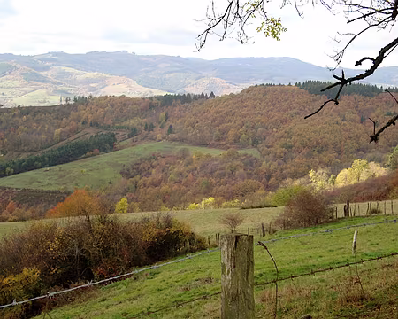 PXL006 prés de St Cyr le Chatoux et ses fromages de chêvre....