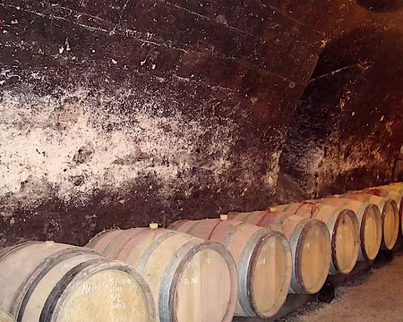 PXL012 caves du Château ( dégustation)