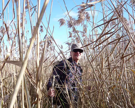 PXL028 Malgré la vaillance des troupes, nous ne parviendrons jamais sur la rive de cet étang qui restera inexploré.