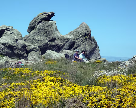 PXL035 On laisse les amoureux dans les ajoncs.