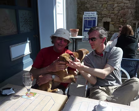 PXL055 Les goélands ont tenté d'adopter le chiot mais la mère veille