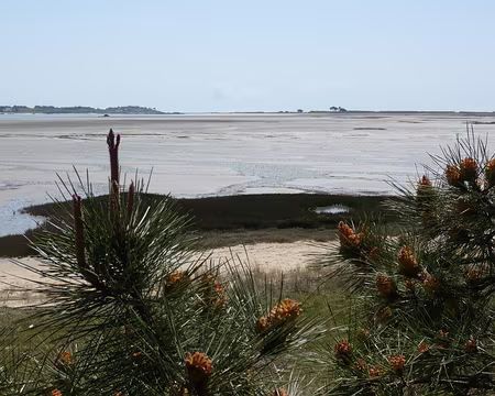 PXL065 ... de 2 km de traversée vaseuse !