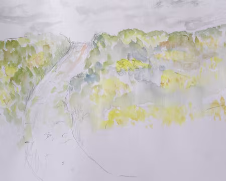 PXL145 La lande aux ajoncs (aquarelle HC)