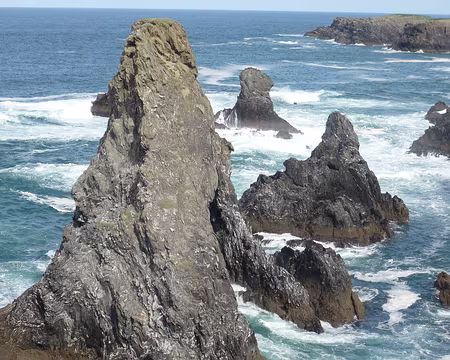 PXL151 les aiguilles de Port Coton