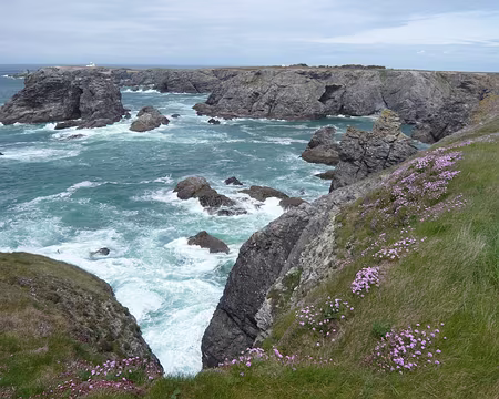 PXL166 On s'approche des Poulains