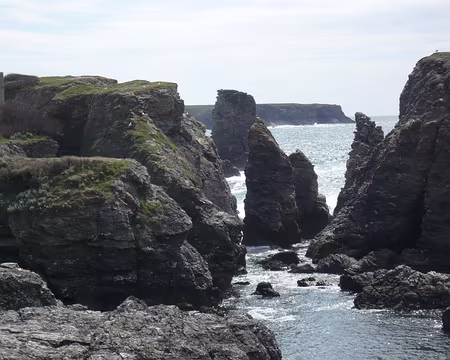 PXL167 A la pointe des Poulains