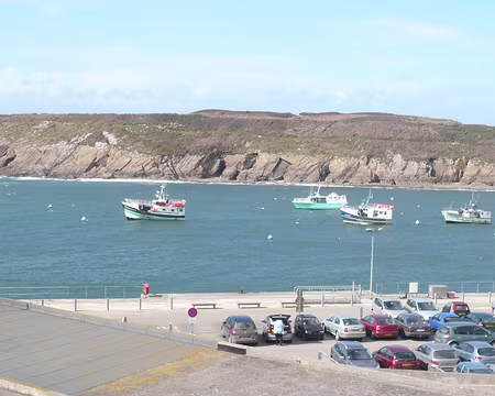 P1060061 Le Conquet, charmant port de pêche...