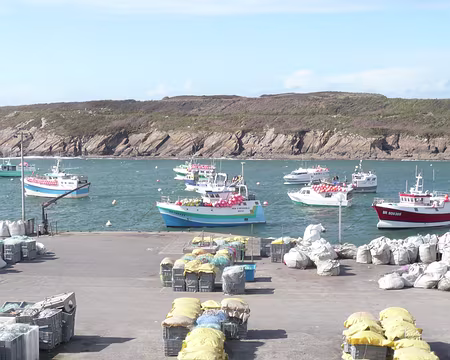 P1060068 Le port du Conquet