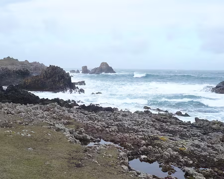 P1060160 La côte ouest de l'île d'Ouessant