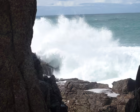 P1060228 Déferlante