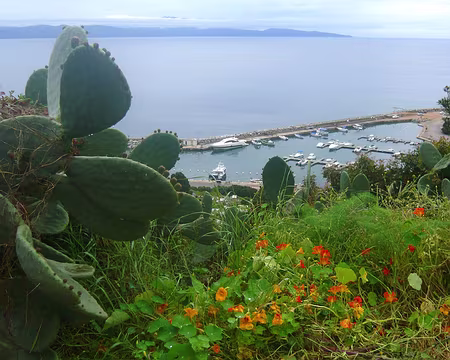 PXL006 Cargese, le port