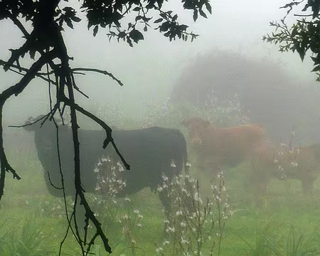 PXL014 Pour la subvention