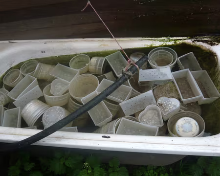 PXL017 Ah ! le brocciu !