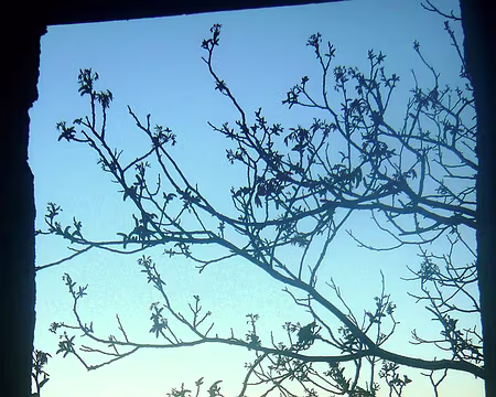 PXL027 Lever de soleil de la fenêtre de la chambre