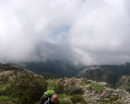 PXL037 la sentier est bordé de chjostri (enclos à châtaignes)