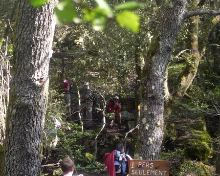 PXL047 Accrobranche dans la forêt d'Aïtone
