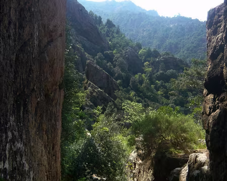 PXL060 Le sentier des gorges