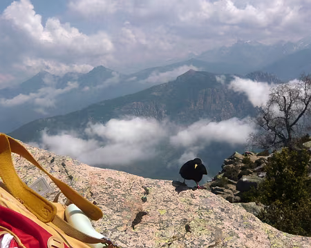 PXL075 Derrière l'oiseau, vue sur le Cinto