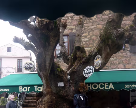 PXL079 Celui- là au moins il sert à quelque chose !