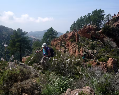 PXL090 un sentier sauvage (Piana au loin)