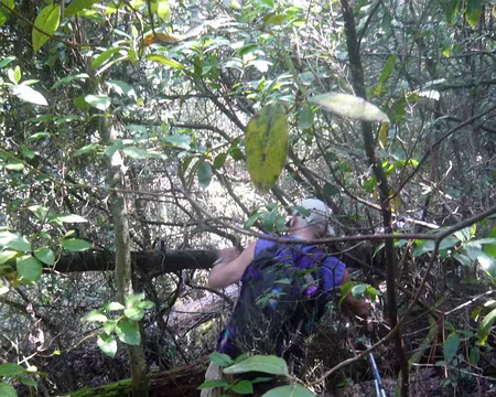 PXL093 Très très sauvage...