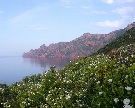 PXL143 Dans les cistes