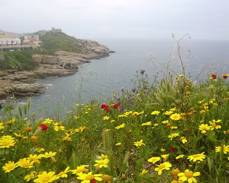 PXL161 Calvi, dernière image