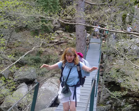 la passerelle d'Aïtone forêt d'Aïtone